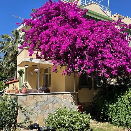 Villa Konak Club アランヤ エクステリア 写真