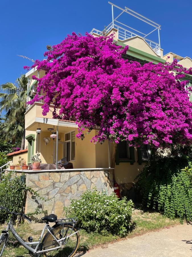 Villa Konak Club アランヤ エクステリア 写真